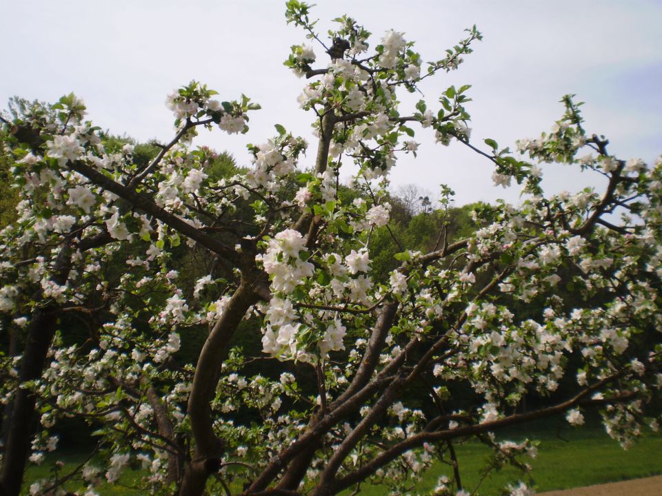 Međimurje April 2013 - foto povečava