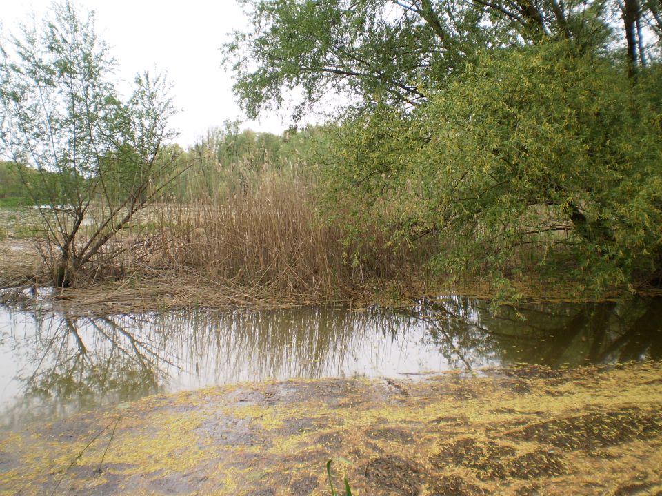 Međimurje April 2013 - foto povečava