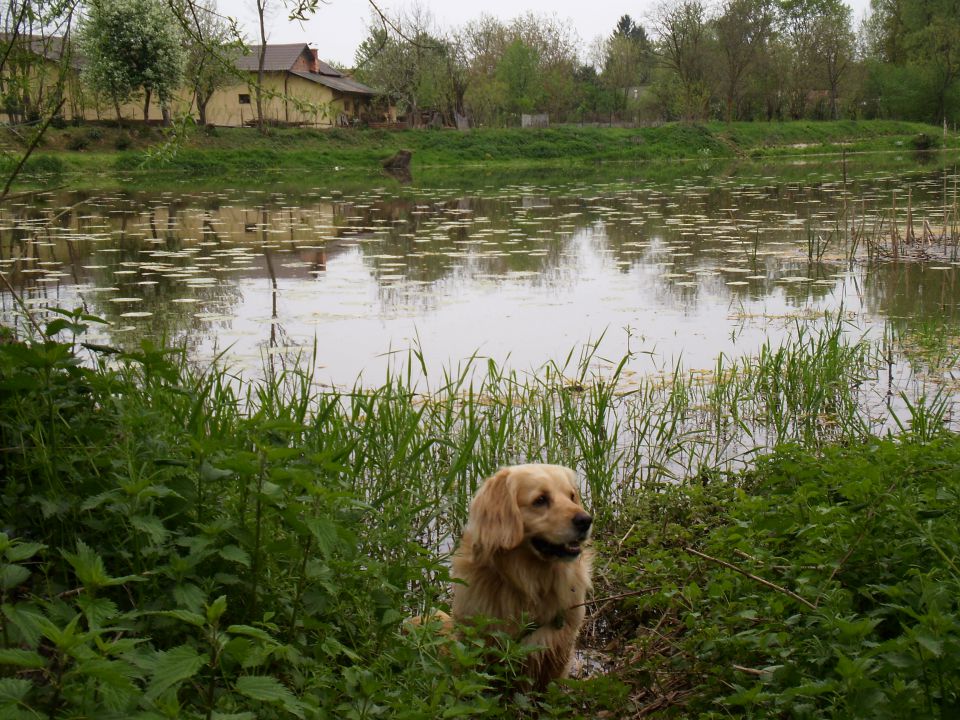 Međimurje April 2013 - foto povečava