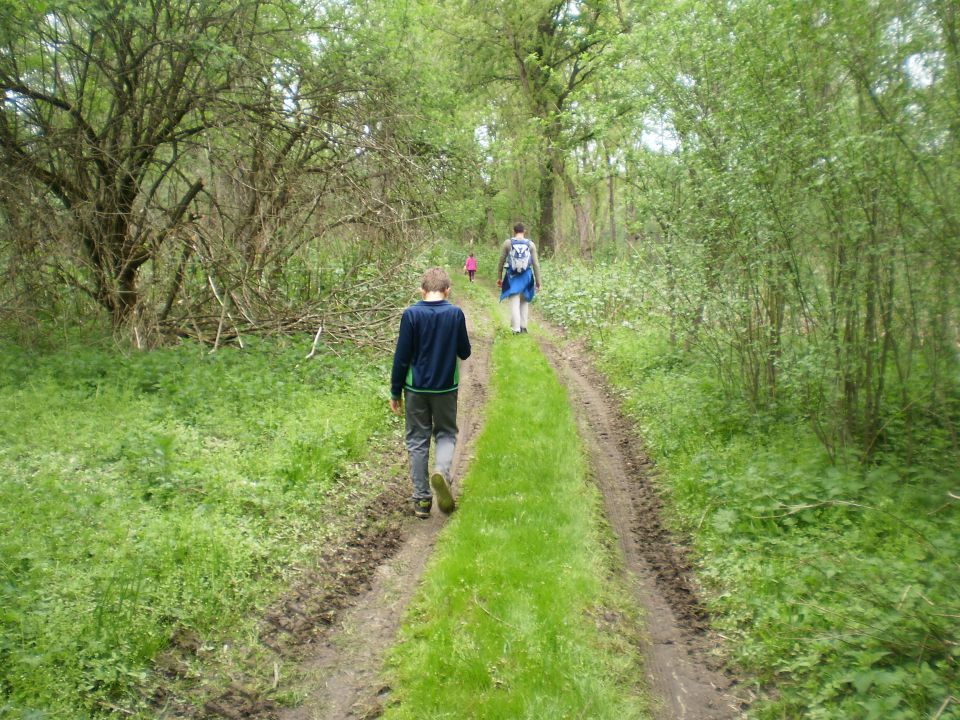 Međimurje April 2013 - foto povečava