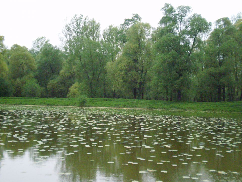 Međimurje April 2013 - foto povečava