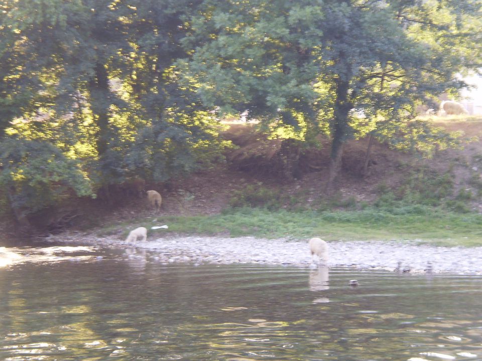 Gorski kotar 3.8.-10.8.2013 3.dio - foto povečava