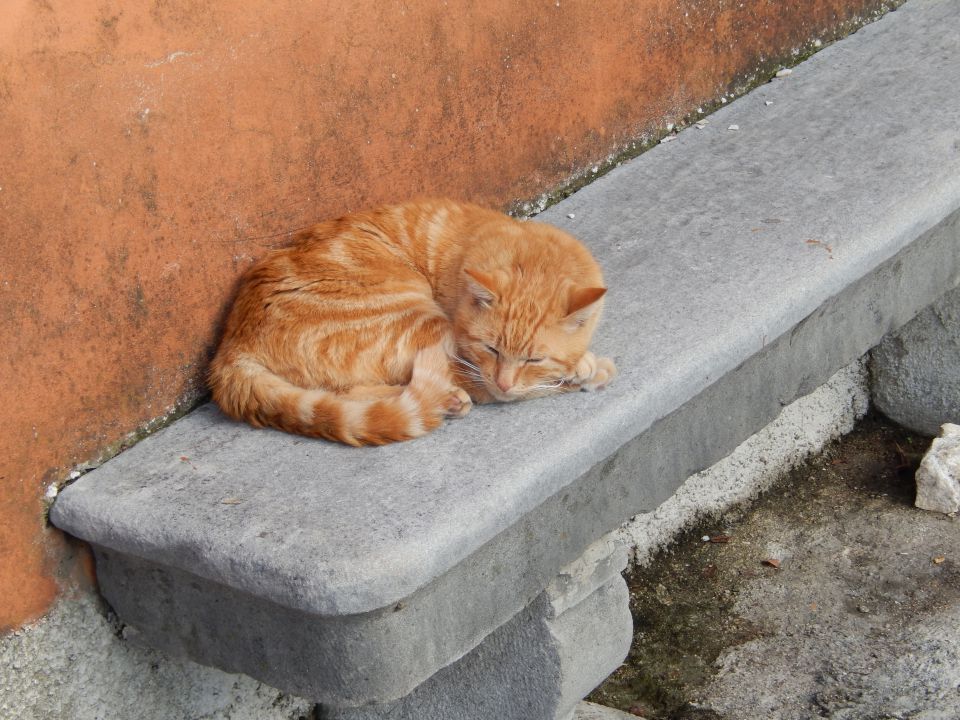 Labin 13.10.2013 - foto povečava