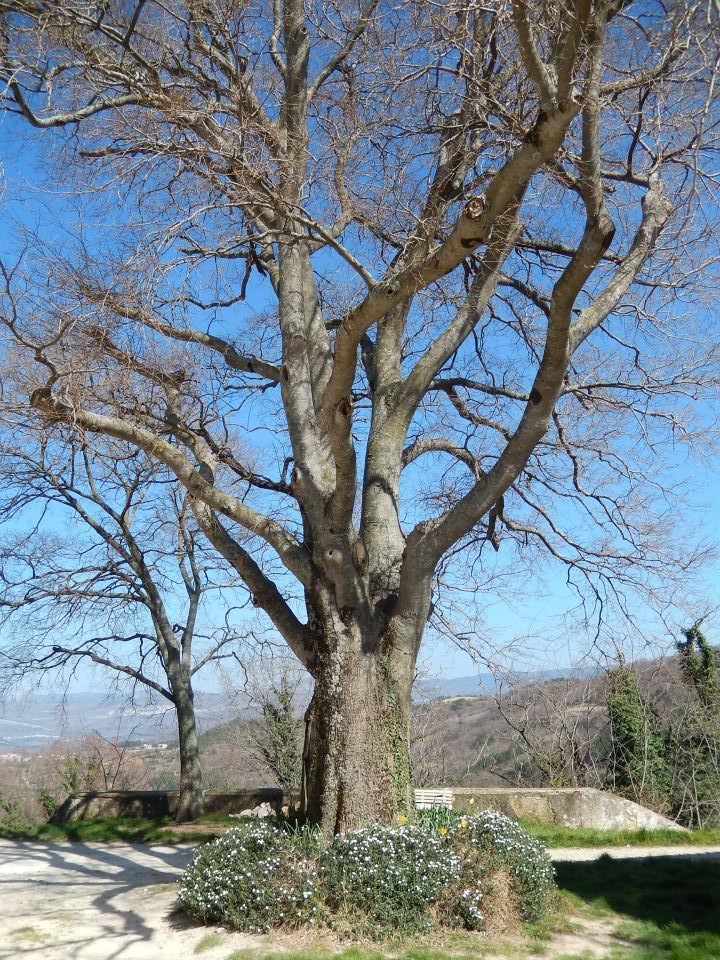 Grimalda, Draguć, Krušvari, Kotli 09.03.2014 - foto povečava