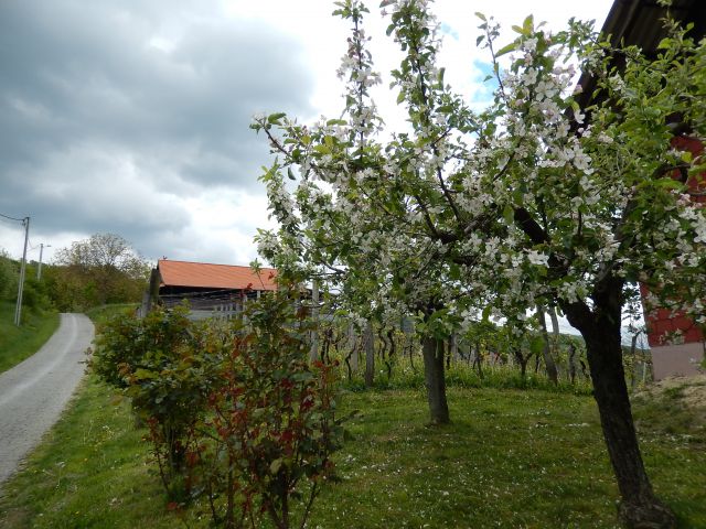 U Gupčevu kraju  April 2014 - foto