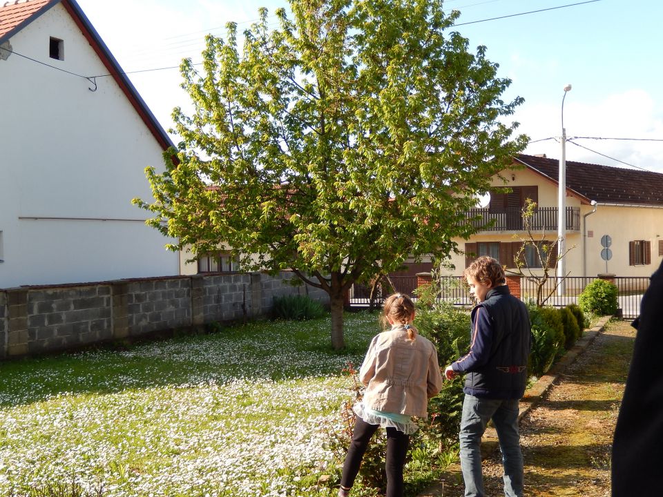 Slavonija April 2014 - foto povečava