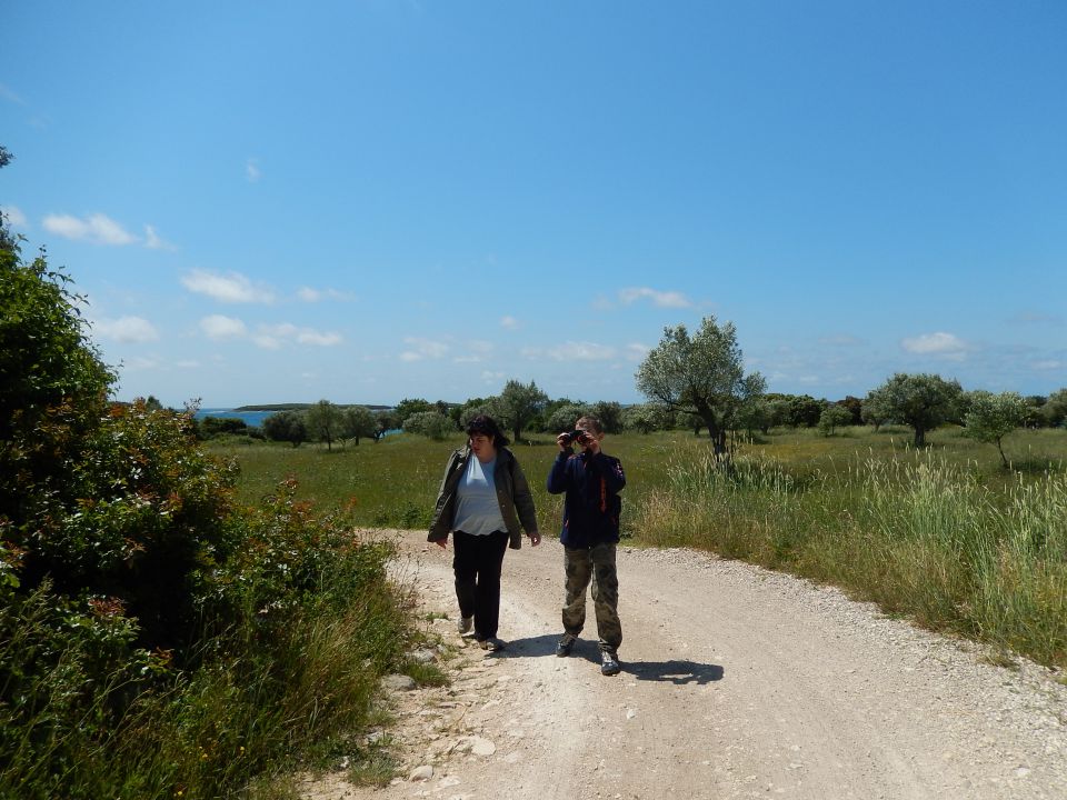 Palud, 18.5.2014 - foto povečava