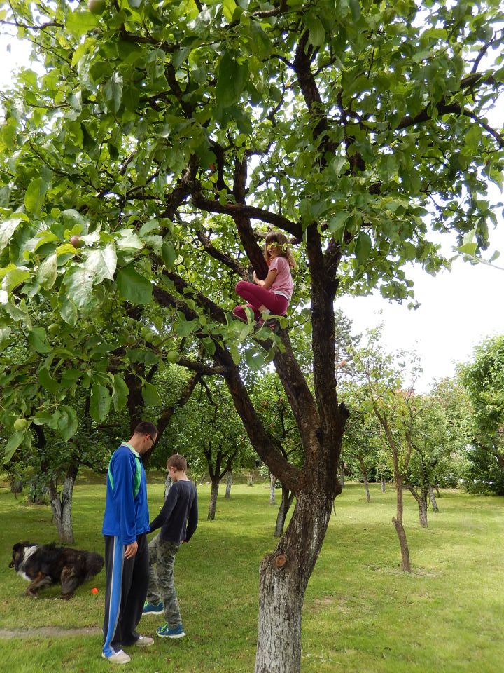 Slavonija, 01.06. 2014 - foto povečava