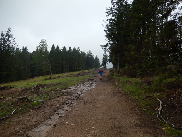 Rogla, Zreče 23.07.2014 - foto