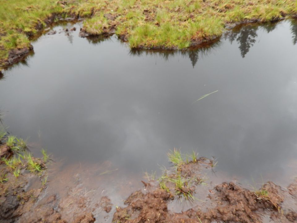 Rogla, Zreče 23.07.2014 - foto povečava