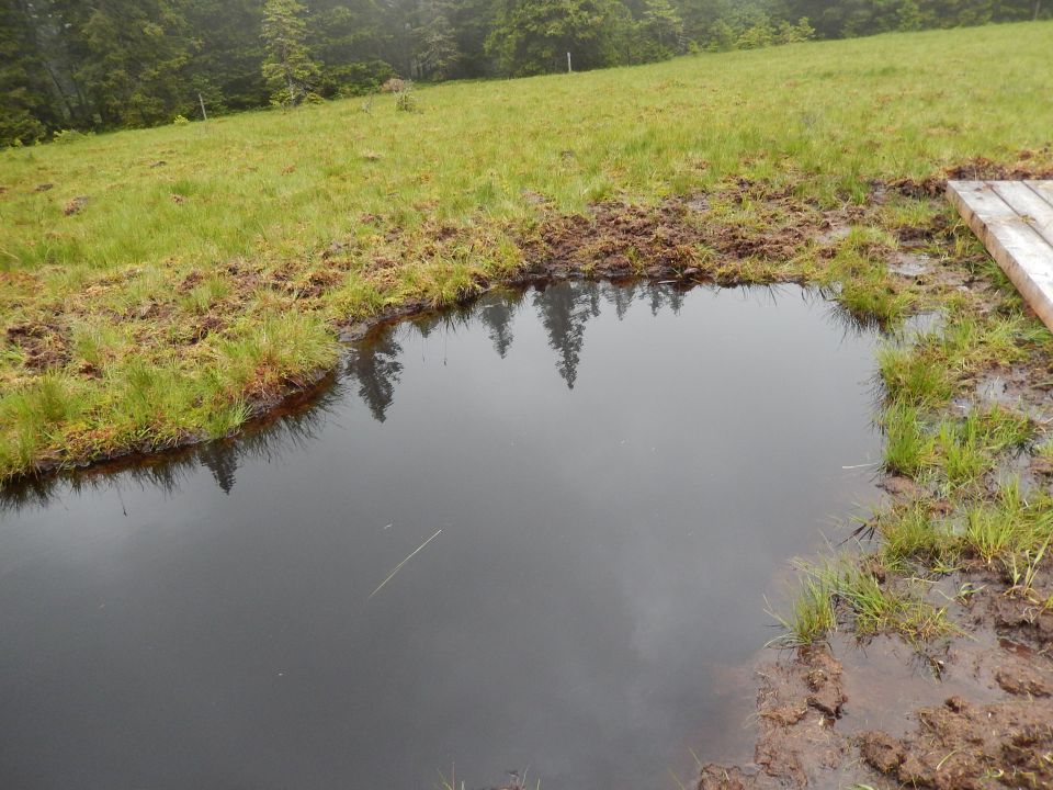 Rogla, Zreče 23.07.2014 - foto povečava