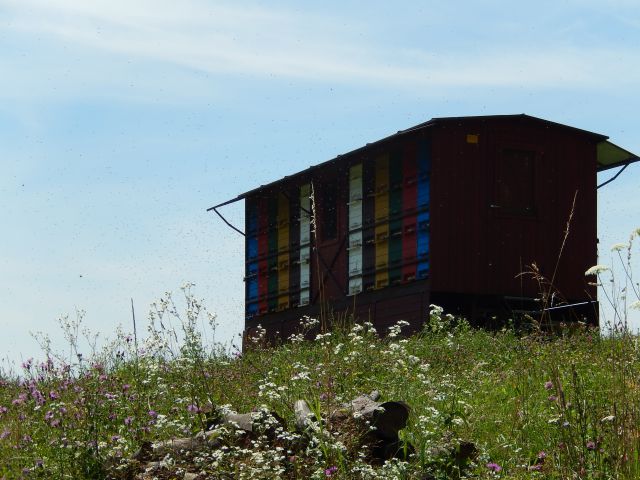 Donačka gora 24.07.2014 - foto