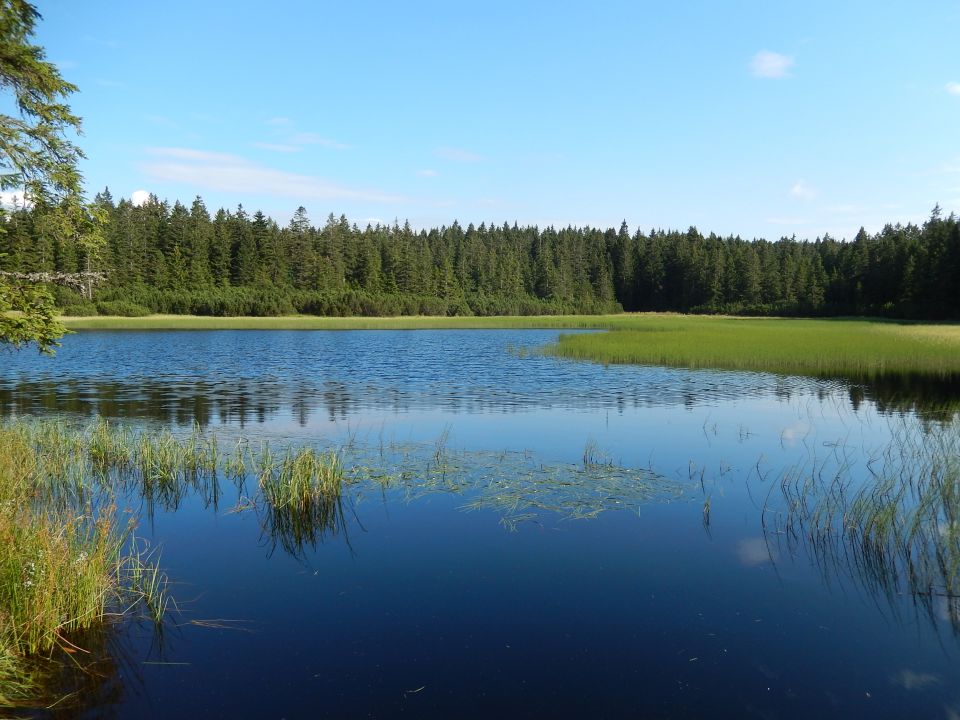 Črno jezero, Slovenske Konjice 25.07.2014 - foto povečava