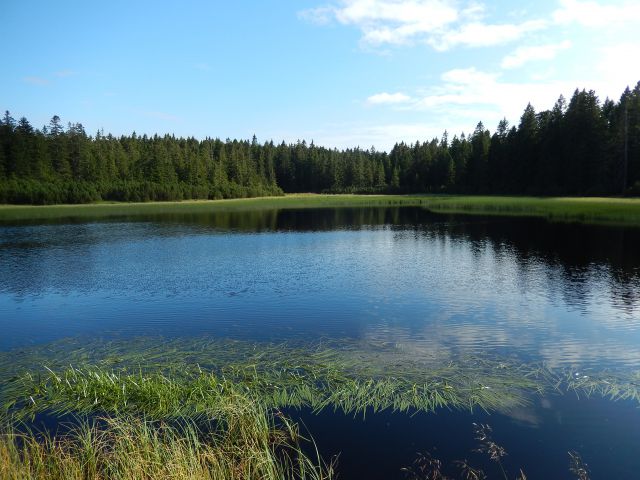 Črno jezero, Slovenske Konjice 25.07.2014 - foto