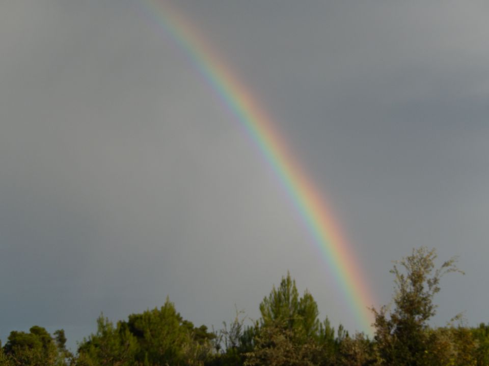 14. september 2014 - foto povečava