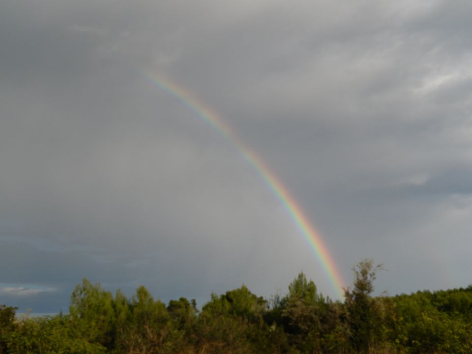 14. september 2014 - foto povečava