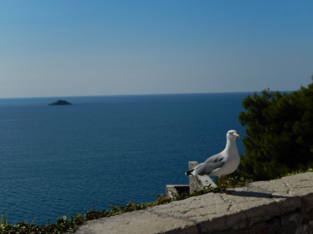 Rovinj 28.09.2014 - foto