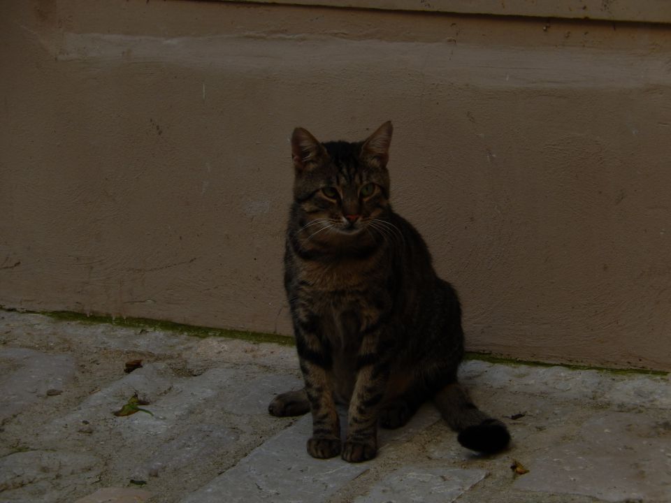 Rovinj 28.09.2014 - foto povečava