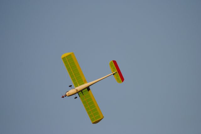 Parky - foto