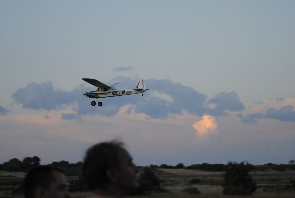 Cub - foto povečava