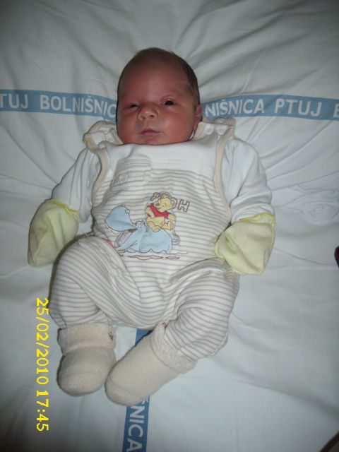 NINO - foto