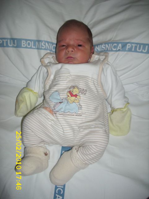 NINO - foto