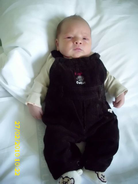 NINO - foto