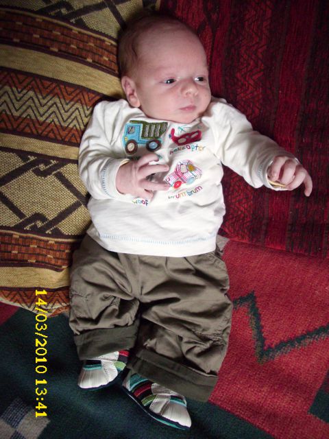 NINO - foto