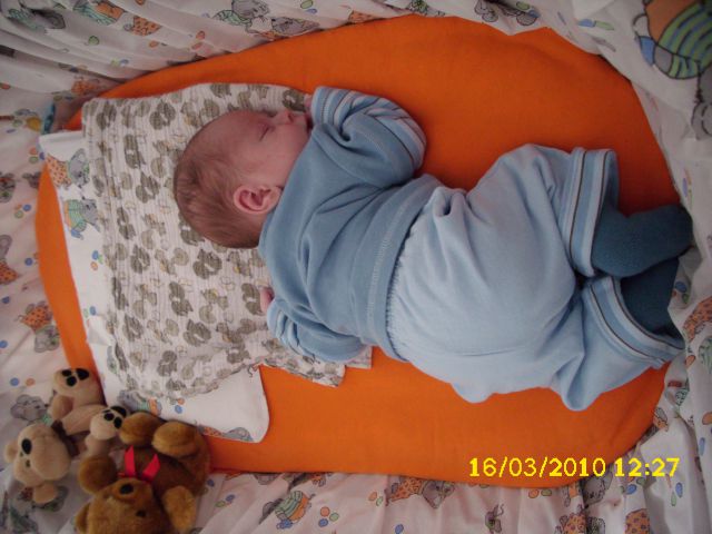 NINO - foto