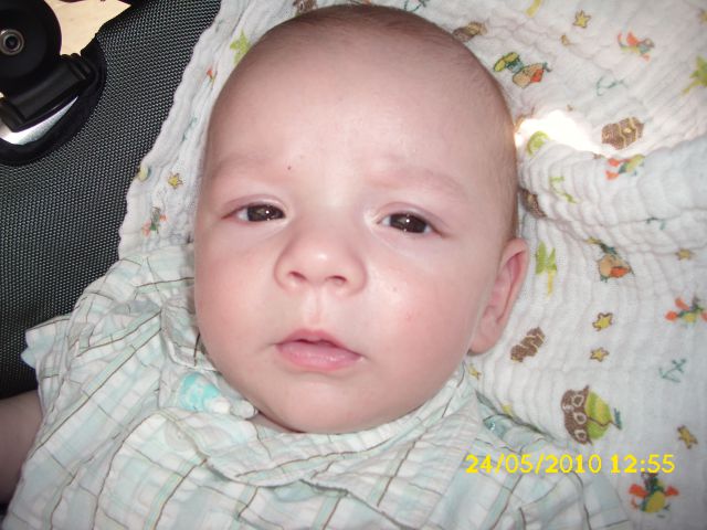 NINO - foto