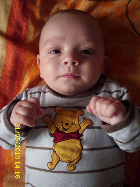 NINO - foto