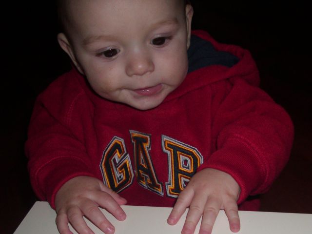 NINO - foto