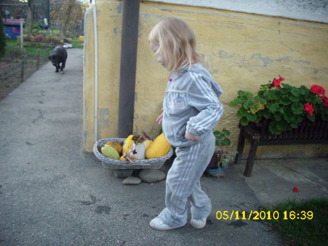 NINO - foto