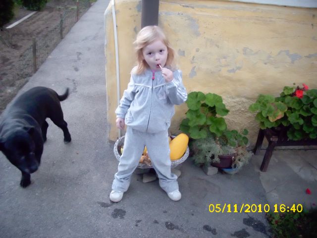 NINO - foto