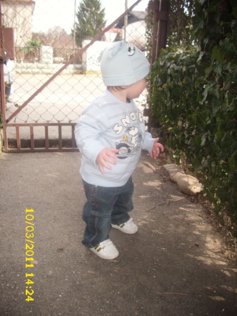 NINO - foto