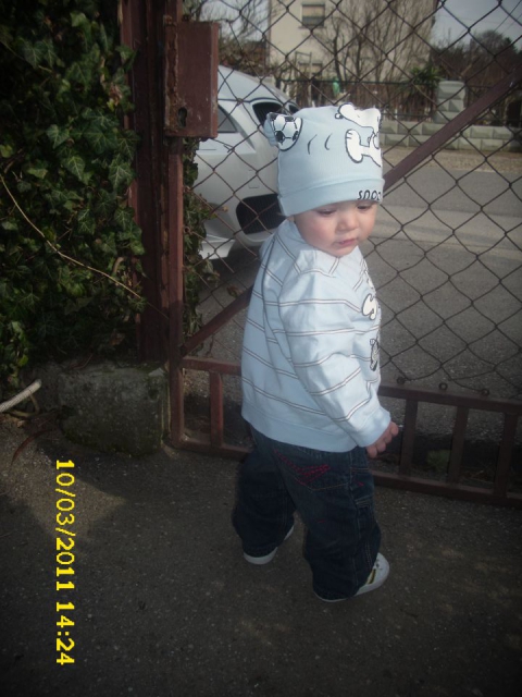 NINO - foto