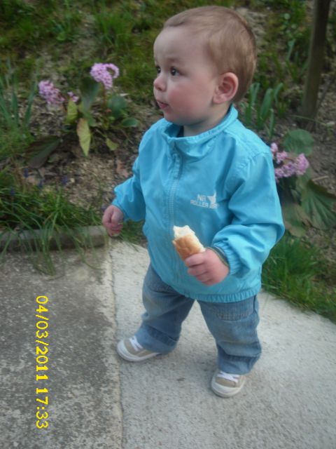 NINO - foto