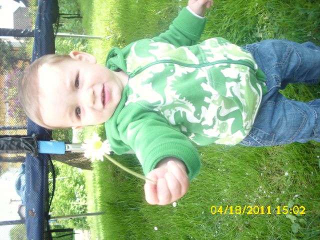 NINO - foto