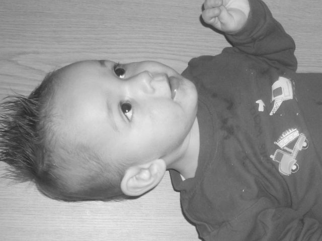 NINO - foto