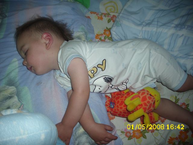 NINO - foto