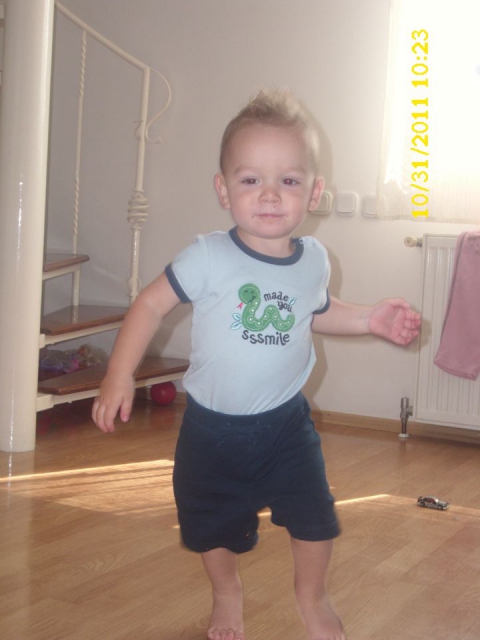 NINO - foto