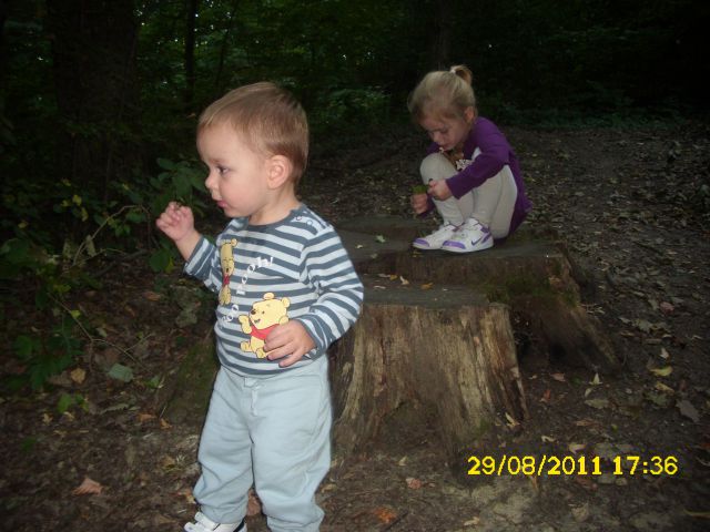 NINO - foto