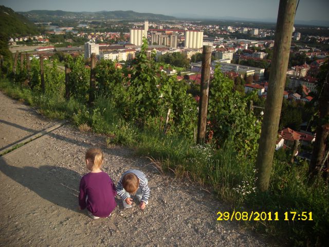 NINO - foto