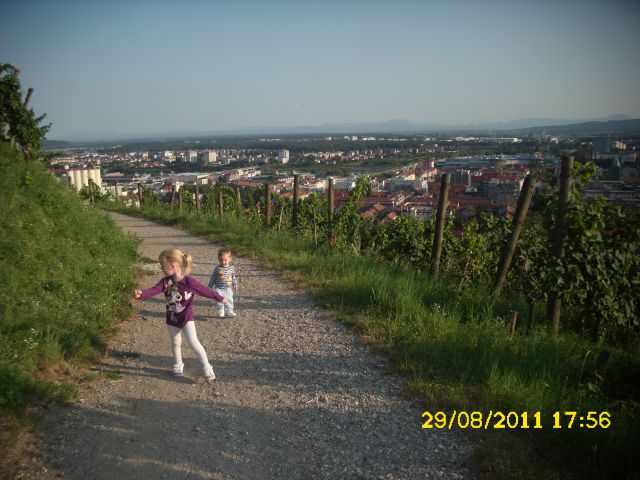 NINO - foto
