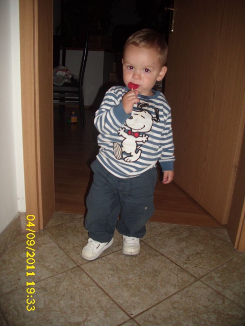 NINO - foto