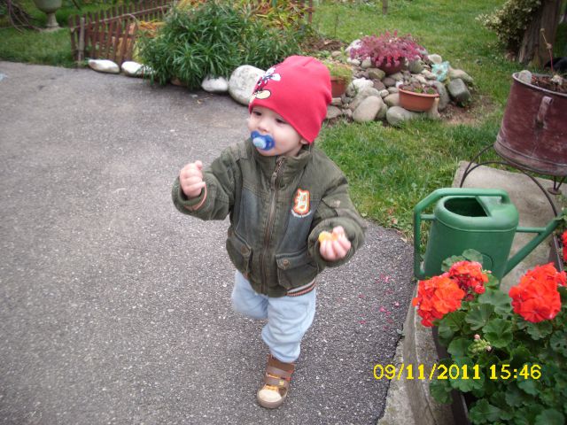 NINO - foto