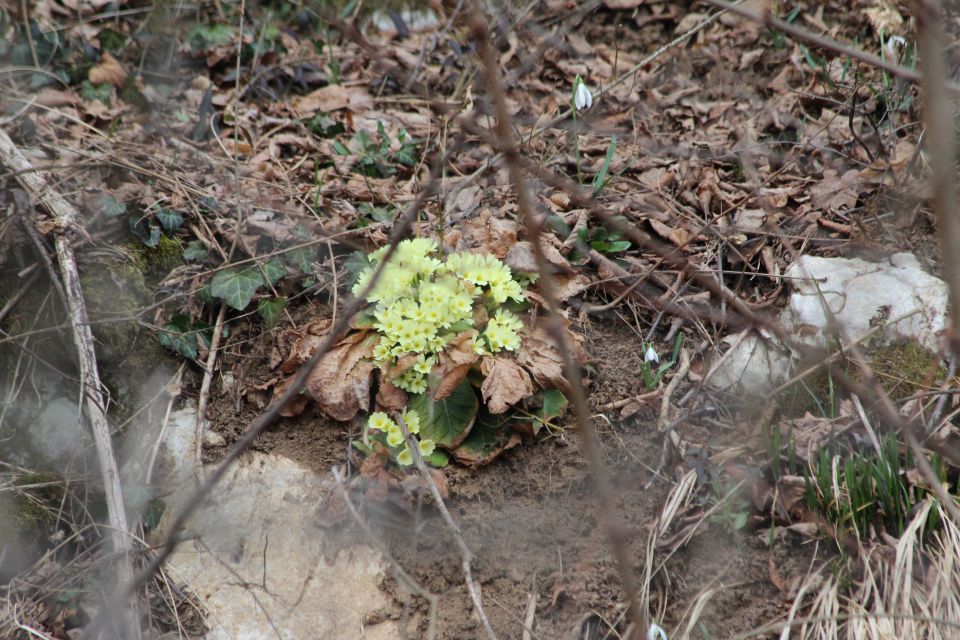 SPOMLAD NA DELU - foto povečava