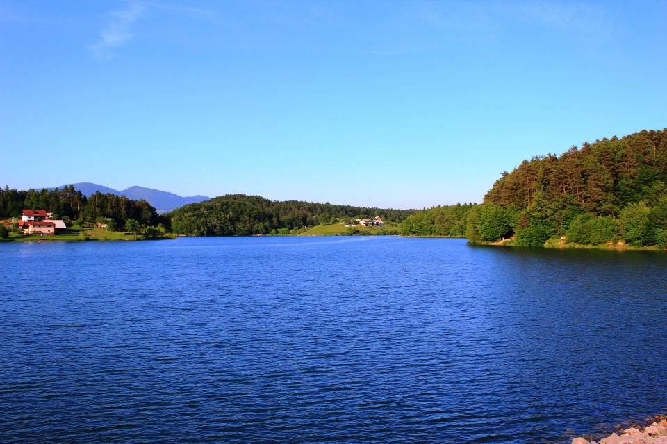 ŠMARTINSKO JEZERO - foto povečava