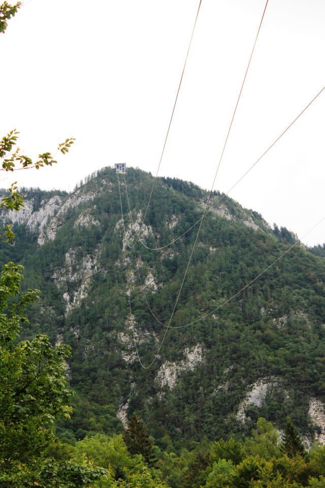 Velika planina 08.08.12 - foto povečava