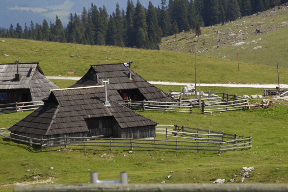 Velika planina 08.08.12 - foto povečava